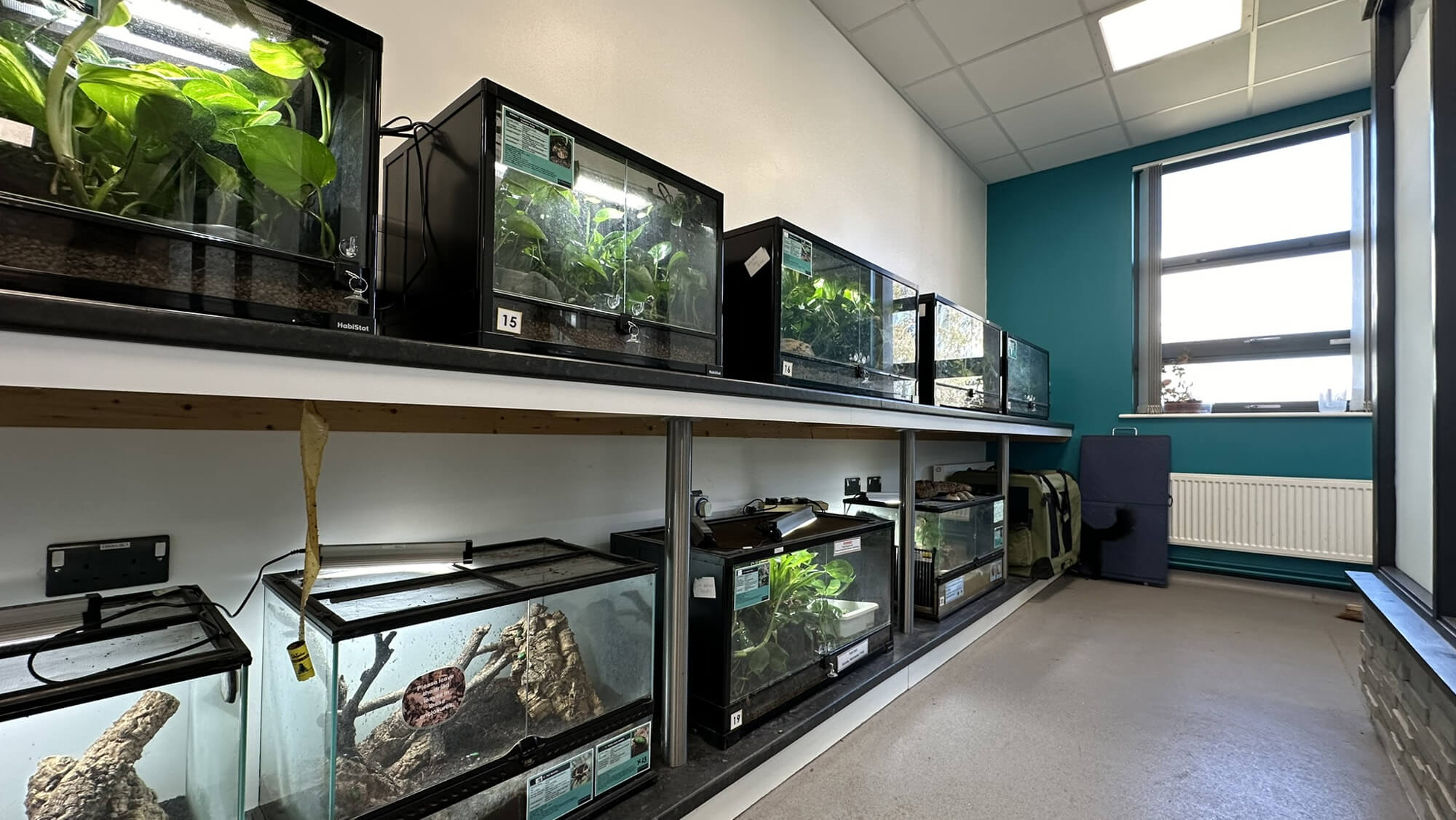 Animal Care T-Level Facilities Refurbishment